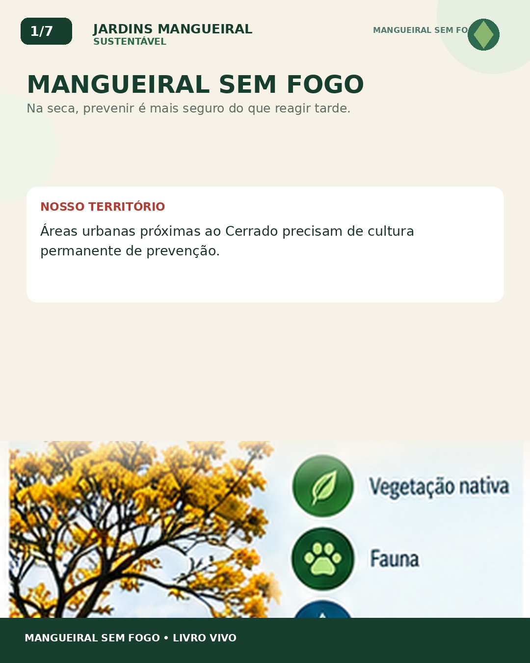 Mangueiral sem Fogo — card 1 de 7. Texto disponível abaixo quando transcrito.
